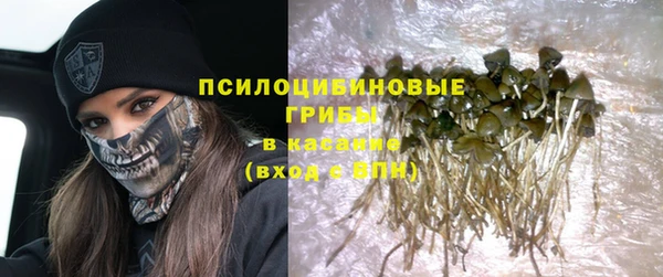 соль курить ск Ладушкин
