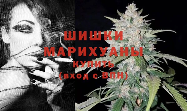 соль курить ск Ладушкин