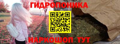 Альфа ПВП Будённовск