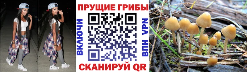 Галлюциногенные грибы ЛСД  ОМГ ОМГ онион  Рязань  закладки 