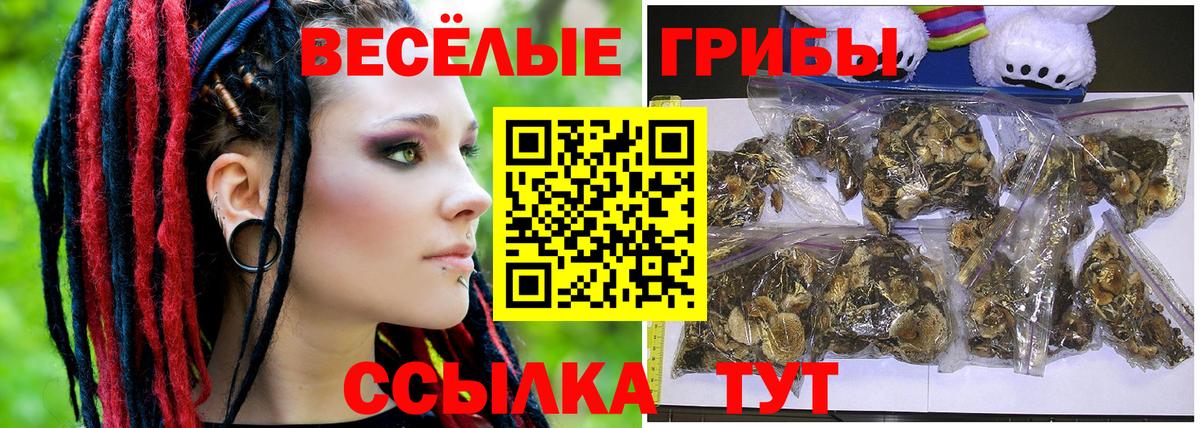 где купить наркоту  Рязань  Галлюциногенные грибы MAGIC MUSHROOMS 