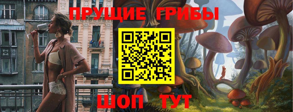 Рязань  Галлюциногенные грибы Psilocybine cubensis  Вход с VPN 